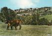 / CPSM FRANCE 63 "Latour d'Auvergne, vue  générale"