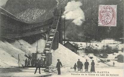 CPA FRANCE 01 "Environs de Nantua, Récolte de la Glace au Lac de Sylans"