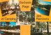 / CPSM FRANCE 47 "Barbaste, plage et camping des Martinets"