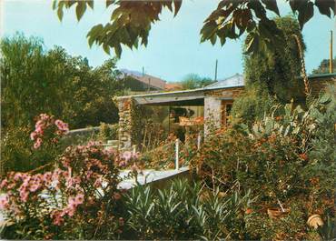 / CPSM FRANCE 83 "Sanary Bandal, jardin exotique et zoo"