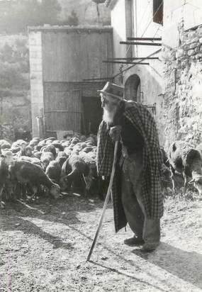 / CPSM FRANCE 84 " Vieux Berger Provençal"