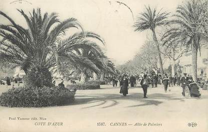 / CPA FRANCE 06 "Cannes, Allée des Palmiers"