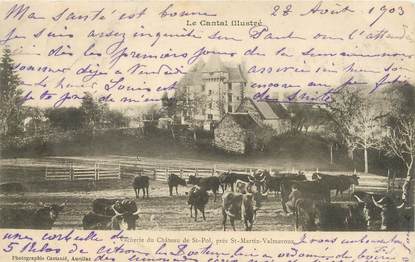 / CPA FRANCE 15 "Vacherie du château de Saint Pol"