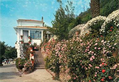 / CPSM FRANCE 06 "Théoule Miramar, villa Saint Camille et ses jardins fleuris"