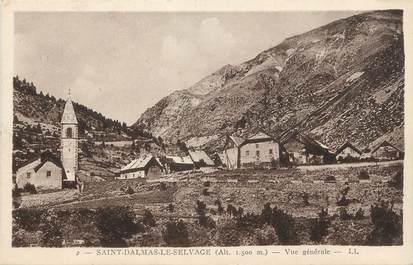 / CPA FRANCE 06 "Saint Dalmas Le Selvage, vue générale "'