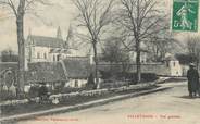 41 Loir Et Cher / CPA FRANCE 41 "Villethiou, vue générale"