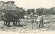 13 Bouch Du Rhone CPA FRANCE 13  "La Ciotat, la fenaison"