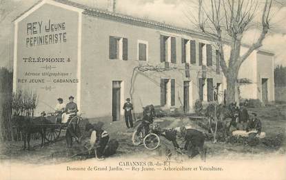 CPA FRANCE 13  "Cabannes, Domaine deGrand Jardin, arboriculture et viticulture"