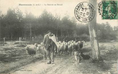 CPA FRANCE 47 "Marmande, la rentrée au Bercail"