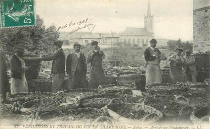 CPA FRANCE 51 "Avize, arrivée au vendangeoir, vendanges et travail du vin"