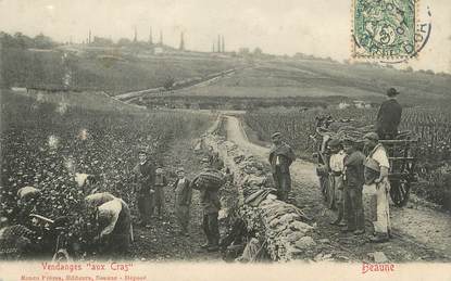 / CPA FRANCE 21 "Beaune, vendanges aux Cras"