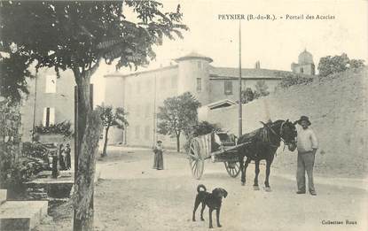 CPA FRANCE 13 "Peyner, portail des Acacias"