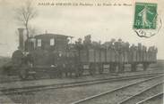 13 Bouch Du Rhone CPA FRANCE 13 "Salin de Giraud, le train de la Messe"