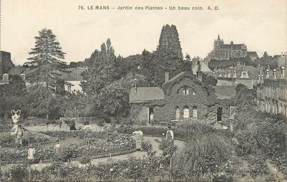 / CPA FRANCE 72 "Le Mans, jardin des plantes"