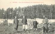 71 SaÔne Et Loire / CPA FRANCE 71 "Autun, parc de ravitaillement des troupes"