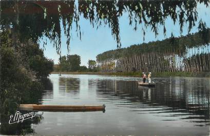 / CPSM FRANCE 89 "Véron, les bords de l'Yonne"