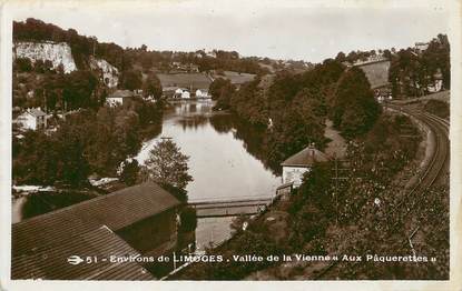 / CPSM FRANCE 87 "Environs de Limoges, vallée de la Vienne aux Pâquerettes"