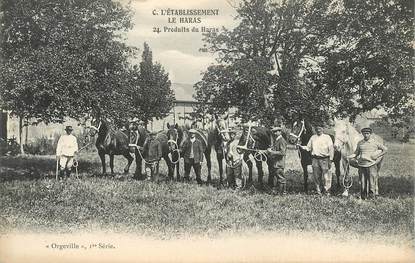 CPA FRANCE 27 " Orgeville, Etablissement Le Haras"