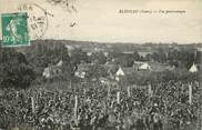 89 Yonne CPA FRANCE 89 "Bléneau, vue panoramique"