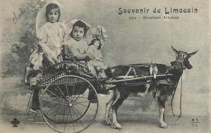 / CPA FRANCE 87 "Souvenir du Limousin, gracieux Attelage" / CHEVRE /  ENFANTS