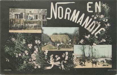 / CPA FRANCE 14 "En  Normandie"