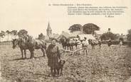 14 Calvado / CPA FRANCE 14 "Notre Normandie, ses charmes" / CHEVAL