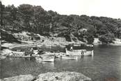 83 Var / CPSM FRANCE 83 "Giens, le port du Niel et la Pinède"