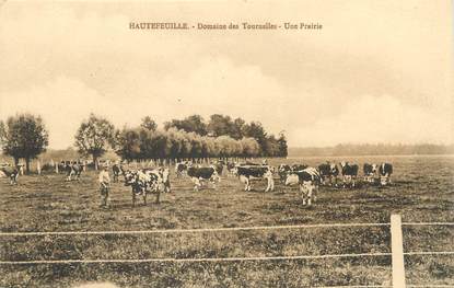 / CPA FRANCE 77 "Hautefeuille, domaine des Tournelles, une prairie"