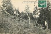 38 Isere CPA FRANCE 38 "Allevard les Bains, descente en traineau"