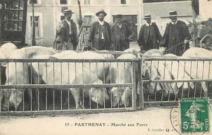 CPA FRANCE 79 "Parthenay, le Marché aux porcs"