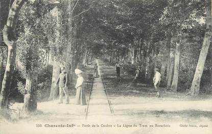 / CPA FRANCE 17 "Forêt de la Coubre, la ligne du Tram au Barachois"