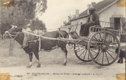 / CPA FRANCE 17 "Chatelaillon, retour de pêche" / ATTELAGE