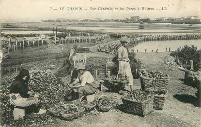 / CPA FRANCE 17 "Le Chapus, vue générale et les parcs à huitres"