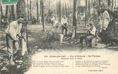 / CPA FRANCE 17 "Ile d'Oléron, Saint Trojan, résiniers dans la forêt"