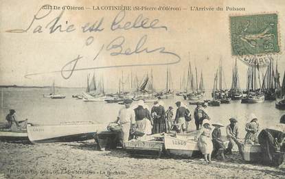 / CPA FRANCE 17 "Ile d'Oléron, La Cotinière, l'arrivée du poisson"
