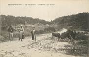 17 Charente Maritime / CPA FRANCE 17 "Ile d'Oléron, Domino, les Dunes"