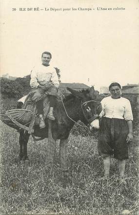 / CPA FRANCE 17 "Ile de Ré, le départ pour les champs" / ANE