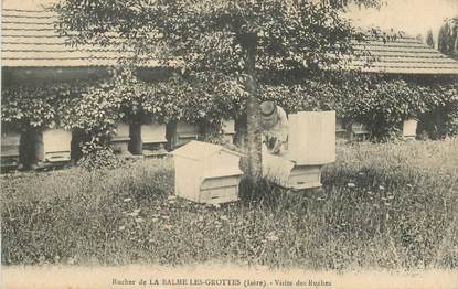 CPA FRANCE 38 "Rucher de la Balme les Grottes, visite des ruches" / APICULTURE