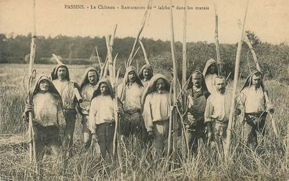 CPA  FRANCE  38 "Passins, ramasseurs de laiche dans les marais"