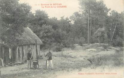 / CPA FRANCE 17 "Environs de Royan, la forêt de la Coubre"