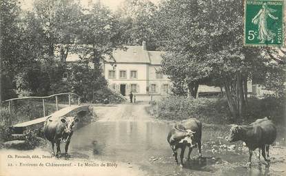  CPA FRANCE 28 "Environs de Chateauneuf, le moulin de Blévy"