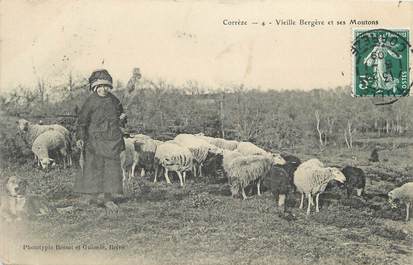 / CPA FRANCE 19 "Vieille Bergère et ses moutons"