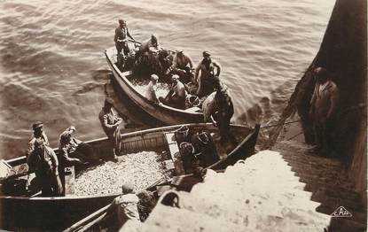 / CPSM FRANCE 56 " Quiberon, arrivée de sardine à Port Maria"