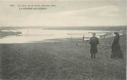/ CPA FRANCE 79 "La Prairie de Nauron, la crue de la Sèvre février 1904"