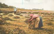 80 Somme / CPA FRANCE 80 "La Fenaison"