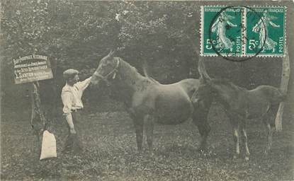 / CPA FRANCE 80 "Beauval" / CHEVAL