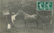 80 Somme / CPA FRANCE 80 "Beauval" / CHEVAL