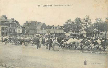 / CPA FRANCE 80 "Amiens, marché aux bestiaux"