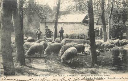/ CPA FRANCE 80 "Pendé, troupeau de moutons"