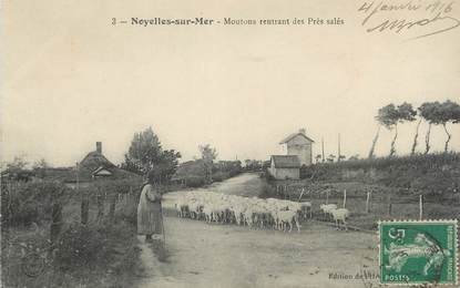 / CPA FRANCE 80 "Noyelles sur Mer, moutons rentrant des Près Salés"
